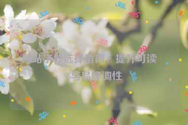 網(wǎng)站字體選擇指南，提升可讀性與品牌調(diào)性