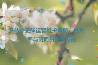 多站點(diǎn)矩陣運(yùn)營(yíng)維護(hù)策略，提升效率與協(xié)同的關(guān)鍵方法