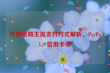 外貿(mào)電商主流支付方式解析，PayPal、信用卡等