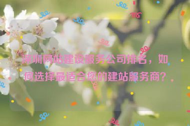 深圳網(wǎng)站建設(shè)服務(wù)公司排名，如何選擇最適合您的建站服務(wù)商？