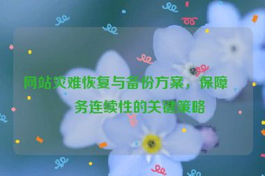 網(wǎng)站災(zāi)難恢復(fù)與備份方案，保障業(yè)務(wù)連續(xù)性的關(guān)鍵策略