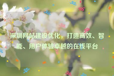 深圳網(wǎng)站建設(shè)優(yōu)化，打造高效、智能、用戶體驗(yàn)卓越的在線平臺