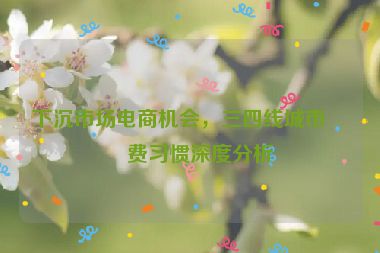 下沉市場電商機會，三四線城市消費習(xí)慣深度分析