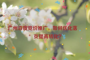 廣州百度競價推廣，如何優(yōu)化落地頁提高轉(zhuǎn)化？