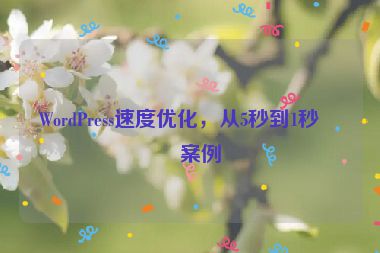 WordPress速度優(yōu)化，從5秒到1秒的案例