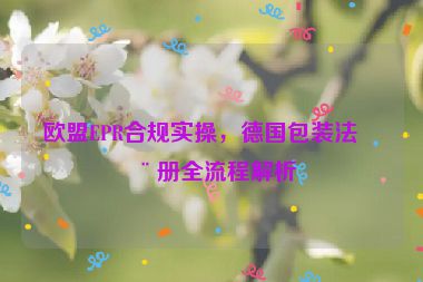 歐盟EPR合規(guī)實操，德國包裝法注冊全流程解析