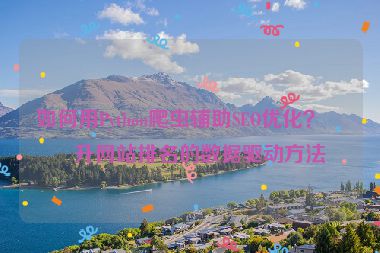 如何用Python爬蟲(chóng)輔助SEO優(yōu)化？提升網(wǎng)站排名的數(shù)據(jù)驅(qū)動(dòng)方法