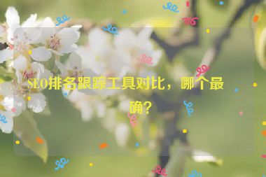 SEO排名跟蹤工具對比，哪個最準(zhǔn)確？