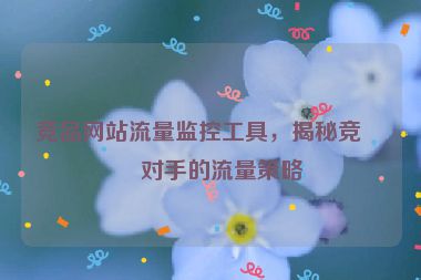 競(jìng)品網(wǎng)站流量監(jiān)控工具，揭秘競(jìng)爭(zhēng)對(duì)手的流量策略