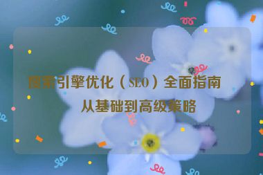 搜索引擎優(yōu)化（SEO）全面指南，從基礎(chǔ)到高級策略