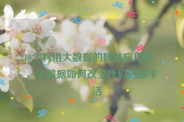 210個(gè)利用大數(shù)據(jù)的網(wǎng)站應(yīng)用案例，大數(shù)據(jù)如何改變我們的數(shù)字生活