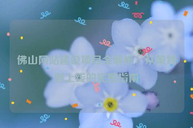 佛山網(wǎng)站建設(shè)項(xiàng)目全解析，從策劃到上線的完整指南