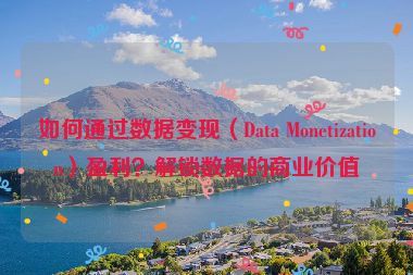如何通過數(shù)據(jù)變現(xiàn)（Data Monetization）盈利？解鎖數(shù)據(jù)的商業(yè)價值
