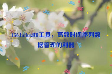 156.InfluxDB工具，高效時(shí)間序列數(shù)據(jù)管理的利器
