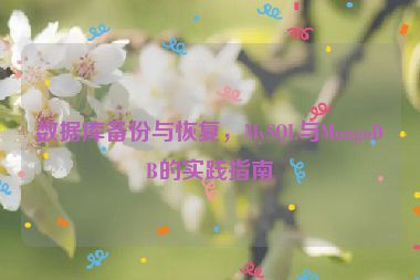 數(shù)據(jù)庫備份與恢復(fù)，MySQL與MongoDB的實(shí)踐指南