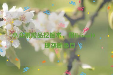 小眾剛需品挖掘術(shù)，用Helium10發(fā)現(xiàn)壟斷類目