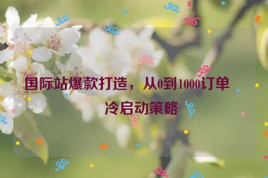 國際站爆款打造，從0到1000訂單的冷啟動(dòng)策略