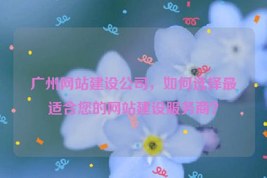 廣州網(wǎng)站建設(shè)公司，如何選擇最適合您的網(wǎng)站建設(shè)服務(wù)商？