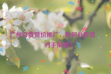 廣州百度競(jìng)價(jià)推廣，如何分析競(jìng)爭(zhēng)對(duì)手策略？