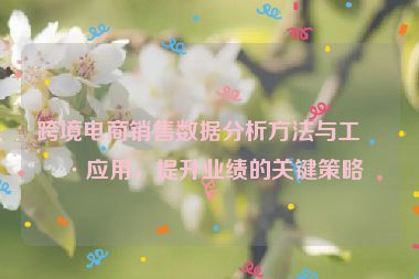 跨境電商銷售數(shù)據(jù)分析方法與工具應用，提升業(yè)績的關鍵策略