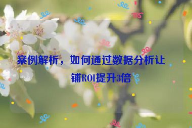 案例解析，如何通過數(shù)據(jù)分析讓店鋪ROI提升3倍