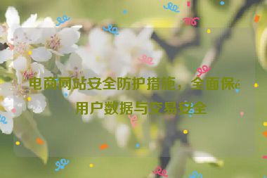 電商網(wǎng)站安全防護措施，全面保障用戶數(shù)據(jù)與交易安全