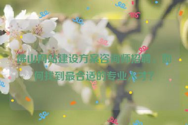 佛山網(wǎng)站建設(shè)方案咨詢師招聘，如何找到最合適的專業(yè)人才？