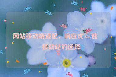 網(wǎng)站移動端適配，響應(yīng)式 vs 獨立移動站的選擇