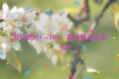亞馬遜FBA vs FBM，哪種模式更適合你？