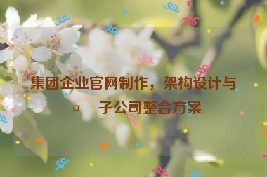 集團(tuán)企業(yè)官網(wǎng)制作，架構(gòu)設(shè)計(jì)與多子公司整合方案
