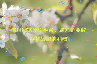 佛山網(wǎng)站建設(shè)平臺(tái)，助力企業(yè)數(shù)字化轉(zhuǎn)型的利器