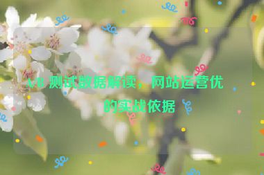A/B 測(cè)試數(shù)據(jù)解讀，網(wǎng)站運(yùn)營(yíng)優(yōu)化的實(shí)戰(zhàn)依據(jù)