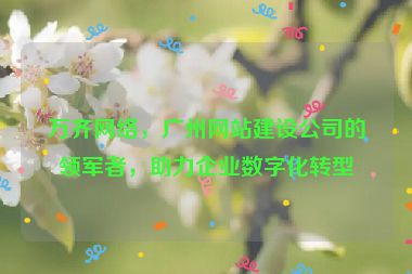 萬齊網(wǎng)絡(luò)，廣州網(wǎng)站建設(shè)公司的領(lǐng)軍者，助力企業(yè)數(shù)字化轉(zhuǎn)型