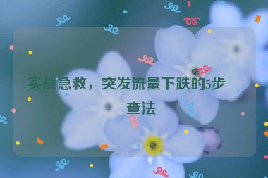 實戰(zhàn)急救，突發(fā)流量下跌的5步排查法