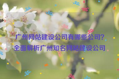 廣州網站建設公司有哪些公司？全面解析廣州知名網站建設公司