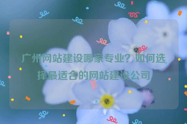 廣州網(wǎng)站建設(shè)哪家專業(yè)？如何選擇最適合的網(wǎng)站建設(shè)公司