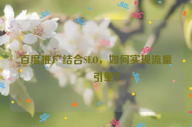 百度推廣結(jié)合SEO，如何實現(xiàn)流量雙引擎？