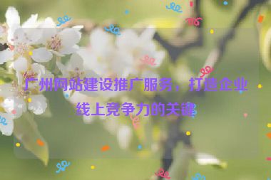 廣州網(wǎng)站建設(shè)推廣服務(wù)，打造企業(yè)線上競爭力的關(guān)鍵