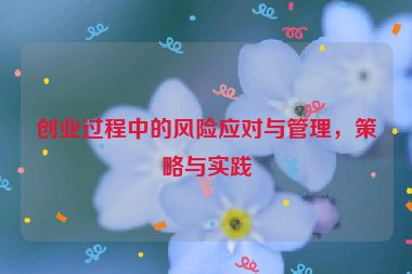創(chuàng)業(yè)過(guò)程中的風(fēng)險(xiǎn)應(yīng)對(duì)與管理，策略與實(shí)踐