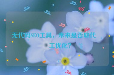 無代碼SEO工具，未來是否取代人工優(yōu)化？