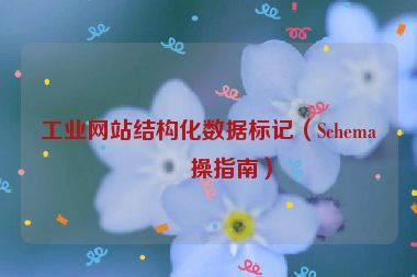 工業(yè)網(wǎng)站結(jié)構(gòu)化數(shù)據(jù)標記（Schema實操指南）
