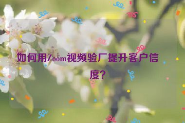 如何用Zoom視頻驗(yàn)廠提升客戶信任度？