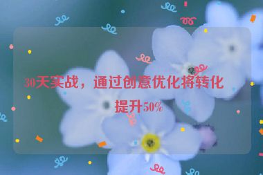 30天實戰(zhàn)，通過創(chuàng)意優(yōu)化將轉(zhuǎn)化率提升50%
