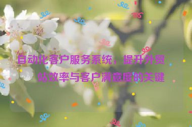 自動化客戶服務(wù)系統(tǒng)，提升外貿(mào)網(wǎng)站效率與客戶滿意度的關(guān)鍵