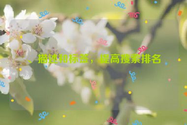 、描述和標(biāo)簽，提高搜索排名
