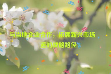 與當(dāng)?shù)仄髽I(yè)合作，拓展新興市場(chǎng)渠道的戰(zhàn)略路徑