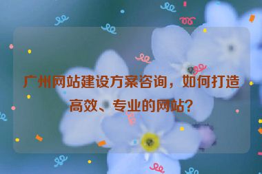 廣州網(wǎng)站建設(shè)方案咨詢，如何打造高效、專業(yè)的網(wǎng)站？